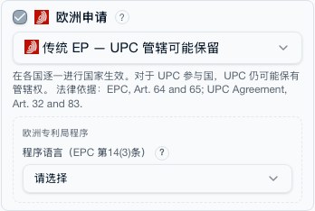 EPO 选项区块：授权后策略，各国生效或单一效力专利