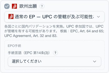 EPO オプション区画：登録後の方針（各国バリデーションか単一効果特許か）