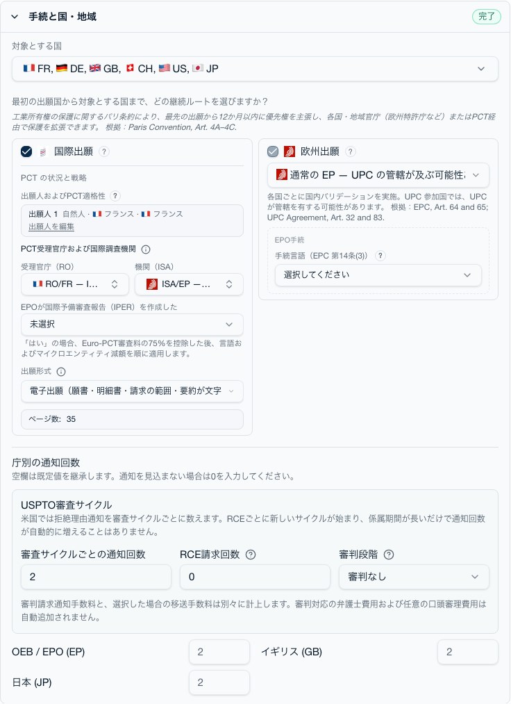 継続戦略:PCT オプション、登録後の欧州戦略、国内移行先